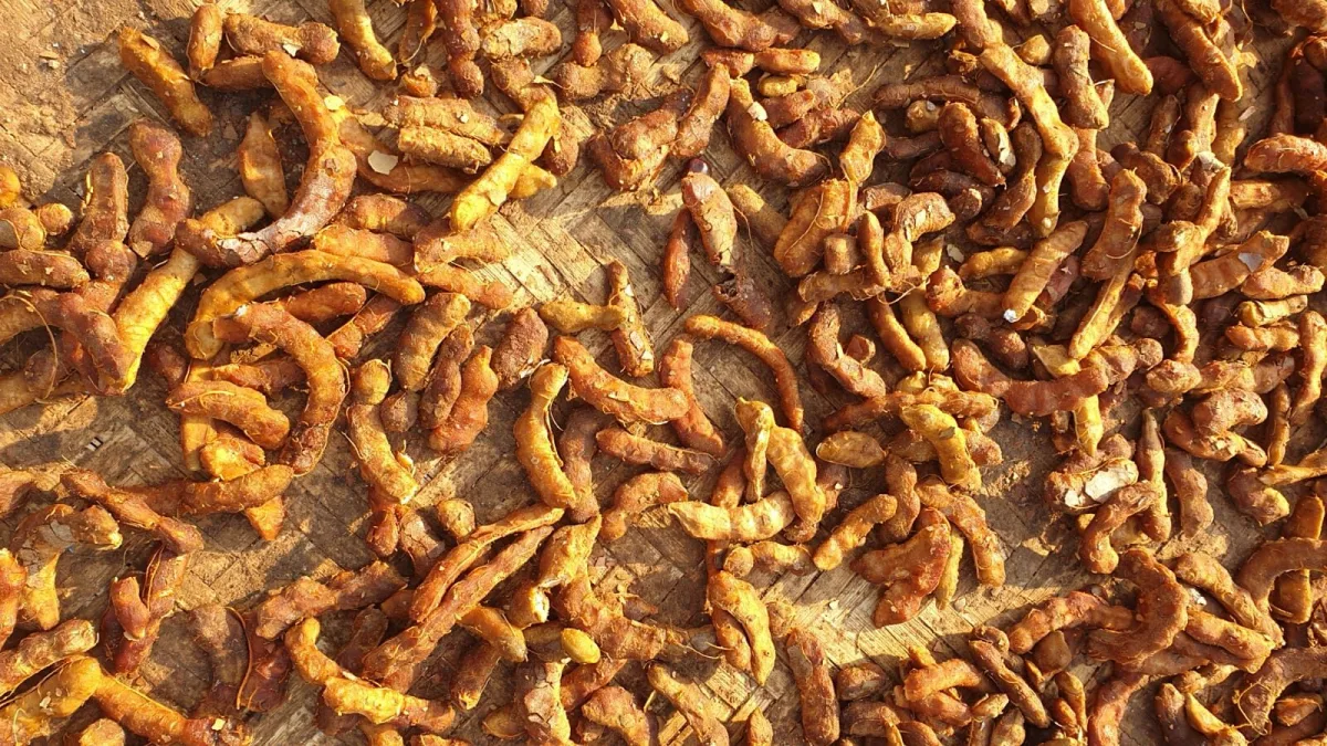 Zafran Food Industries - Foods & Beverages products | Pakistan