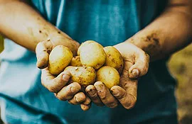 Alexandria Group - Agriculture products | United States