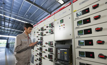 Delixi Group - Electronics products | China