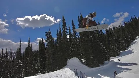 Telos Snowboards - Sports & Leisure products | United States