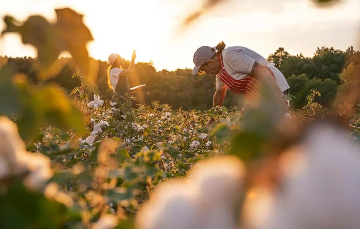 Bayer AG - Agriculture products | Germany
