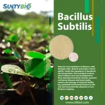 Hebei Shuntian Biotechnology Co., Ltd. - Agriculture products | China