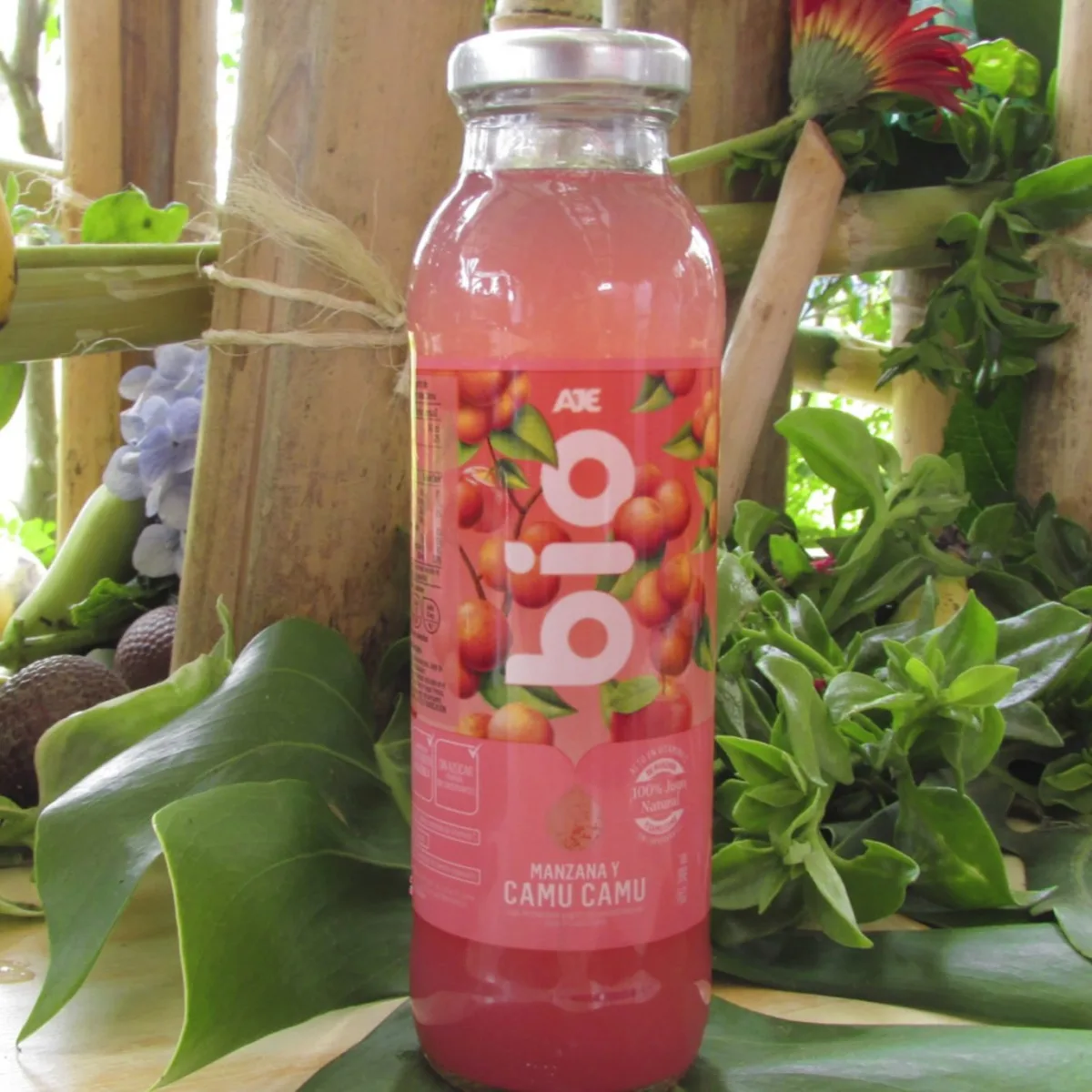 AJE Group - Foods & Beverages products | Peru