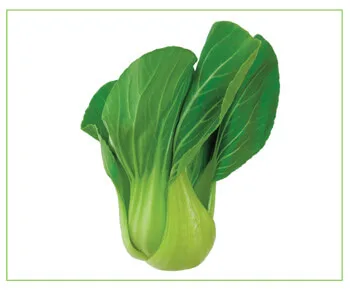 Emerald Greens - Agriculture products | Ireland