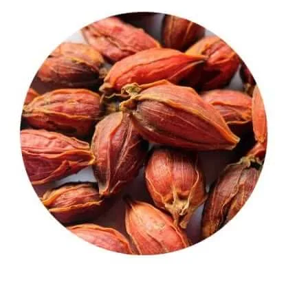 Shaanxi Youbio Technology Co., Ltd. - Foods & Beverages products | China