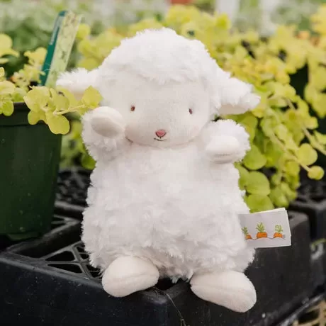 Bunnies By The Bay - Gifts & Toys products | United States