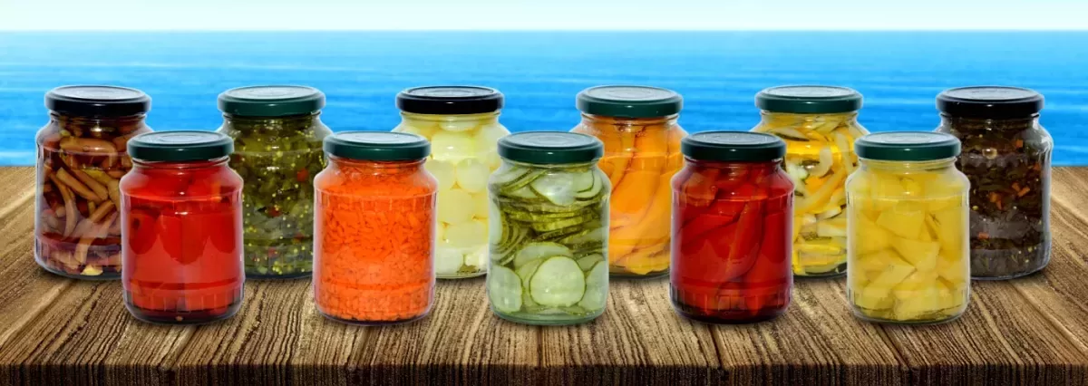 India Agro Exports Pvt. Ltd. - Agriculture products | India