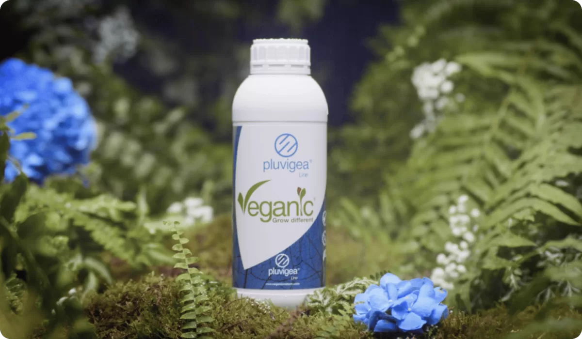 Veganic Nature, S.L. - Agriculture products | Spain