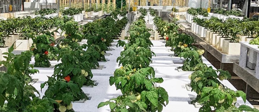 Rovensa Next - Agriculture products | Spain