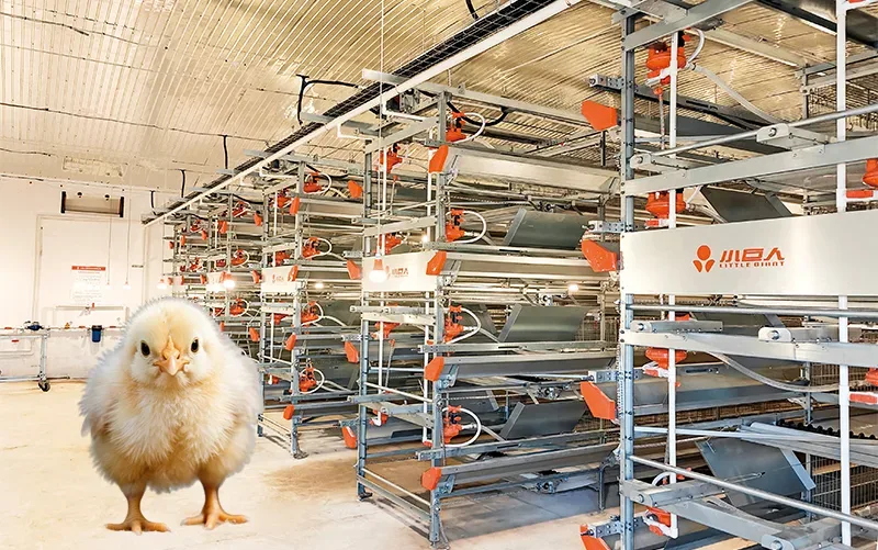 Little Giant Animal Husbandry Equipment Co., Ltd. - Agriculture products | China