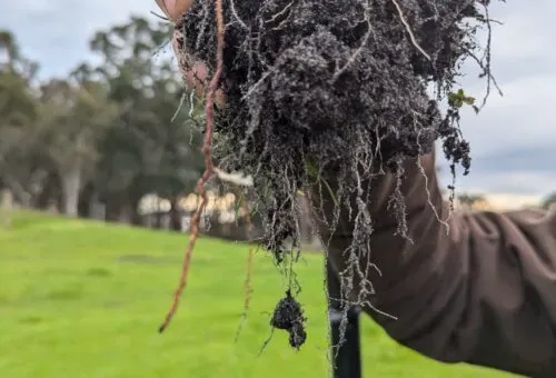 Best Farming Systems Pty Ltd - Agriculture products | Australia