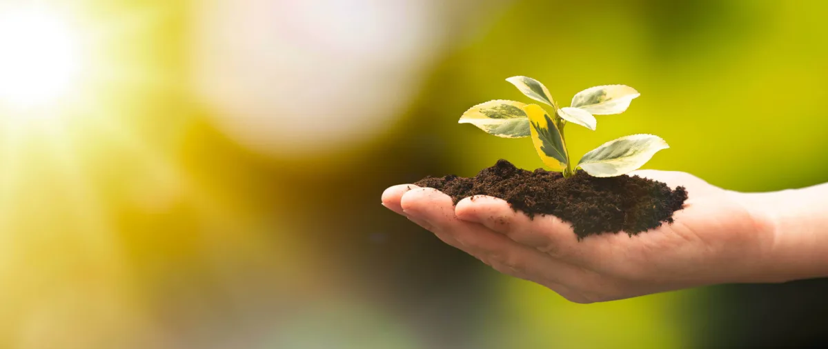 Fertilizantes Minerales de Colombia S.A.S. - Agriculture products | Colombia