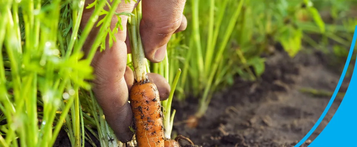 Modern Company for Fertilizer Production Ltd. - Agriculture products | Jordan