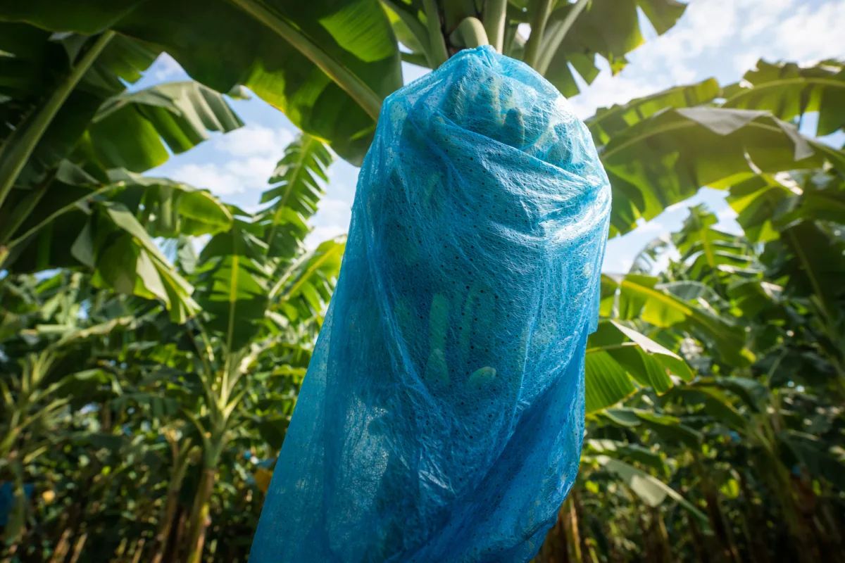 Foragro Company - Agriculture products | Guatemala