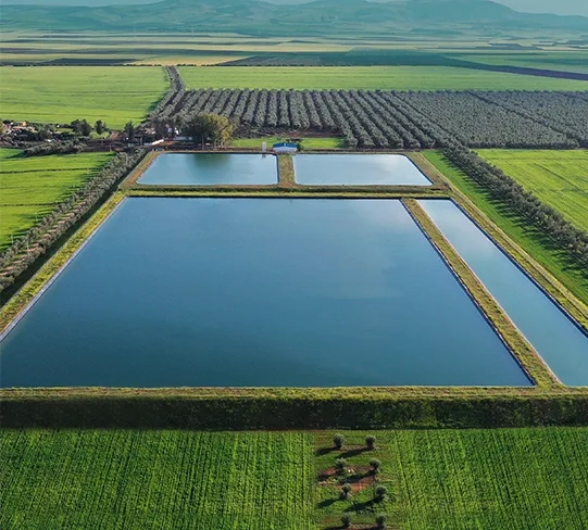 CMGP Group - Agriculture products | Morocco