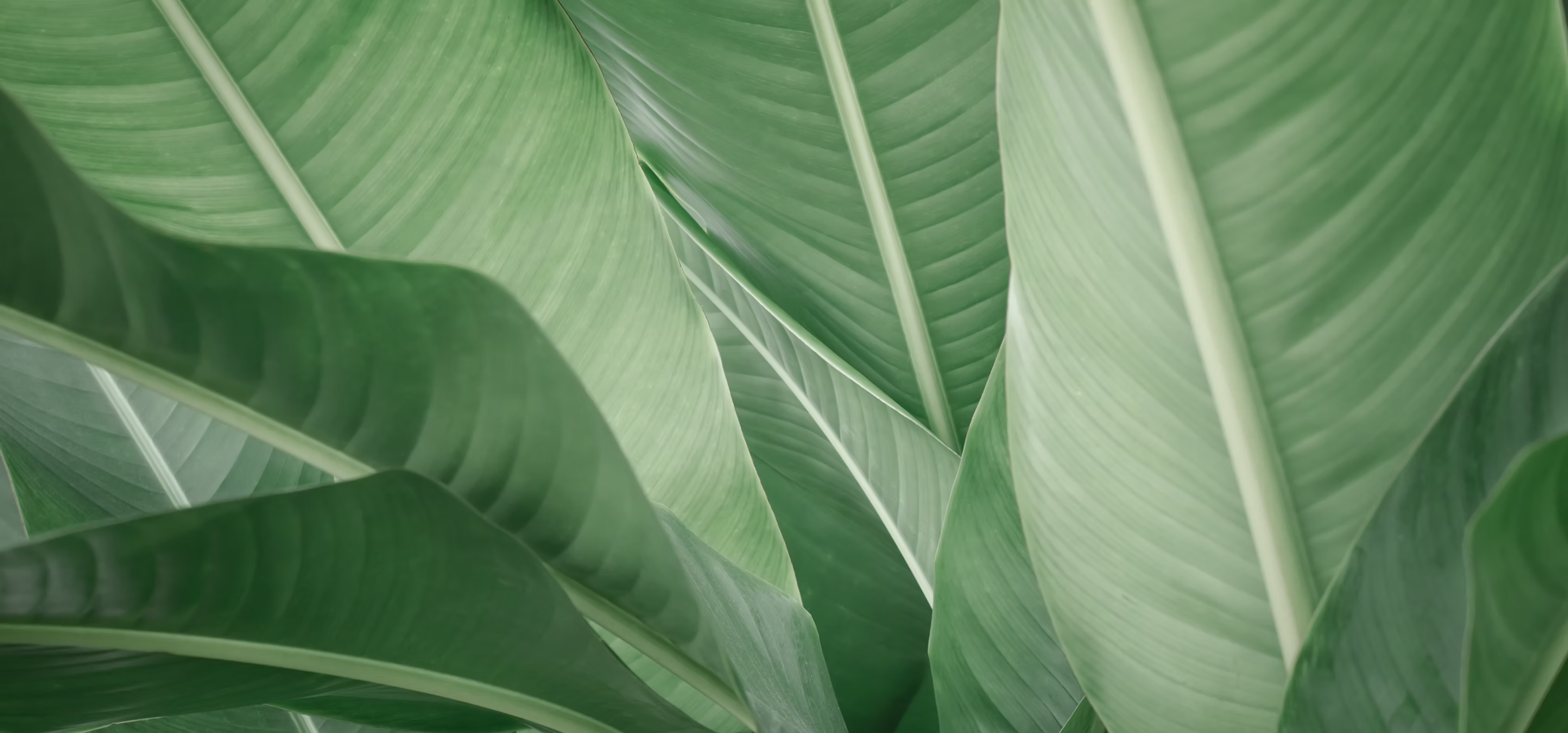 UB Bio Ltd. - Health & Medical products | New Zealand