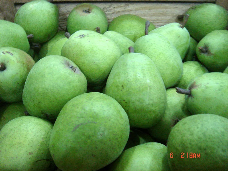 Exporter Piotr Fylak - Agriculture products | Poland