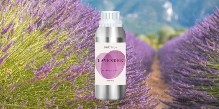 Biottonia Natural Care S.L. - Beauty & Cosmetics products | Spain