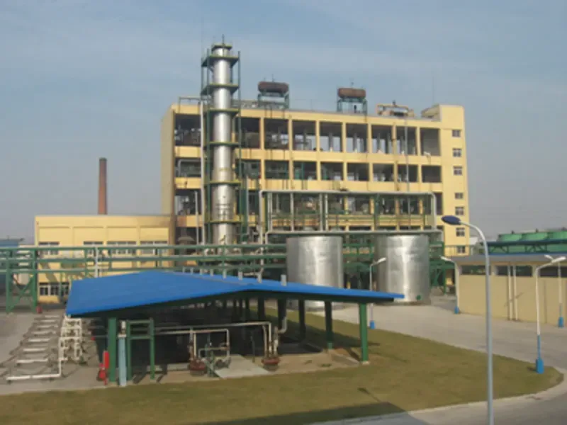 Polynt S.p.A - Chemicals products | Italy