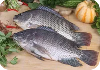 North Supreme Seafood (Zhuhai) Co ., Ltd - Foods & Beverages products | China