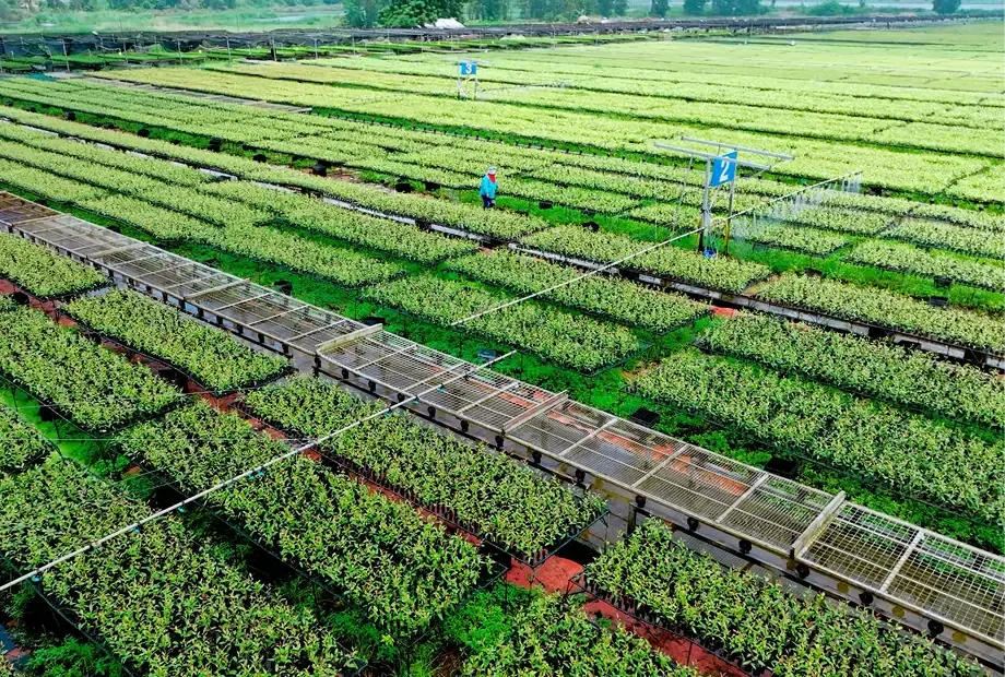 Double A (1991) Public Company Limited - Offices & Supplies products | Thailand