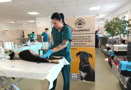 Flamingo Pet Products NV - Others & Miscellaneous products | Belgium