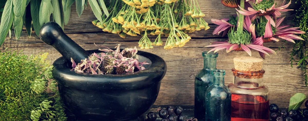 Verdure Herbals - Agriculture products | India