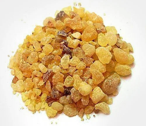 Himalaya Herb Stores - Agriculture products | India