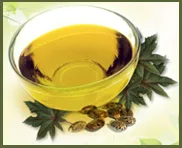 Sun Bionaturals (India) Private Limited - Agriculture products | India