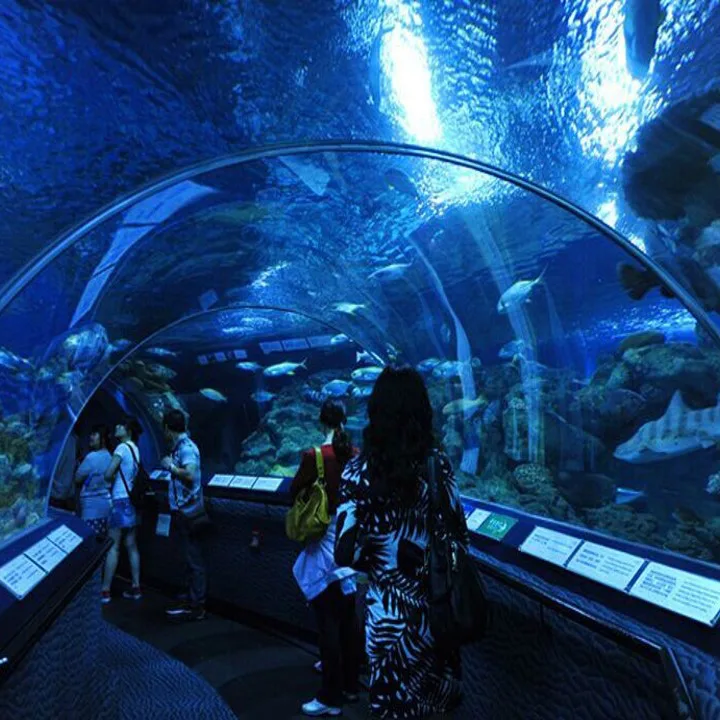 Shanghai PG Aquariums & Landscaping - Construction products | China