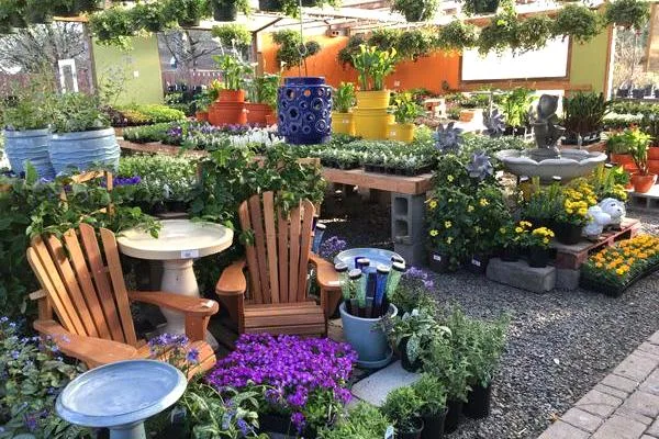 Dennis' 7 Dees Garden Center - Agriculture products | United States