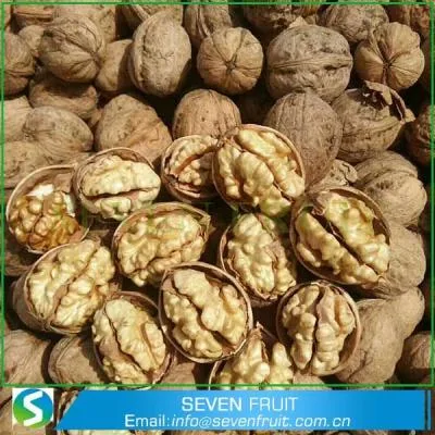Hebei Seven Fruit Trade Co., Ltd - Foods & Beverages products | China