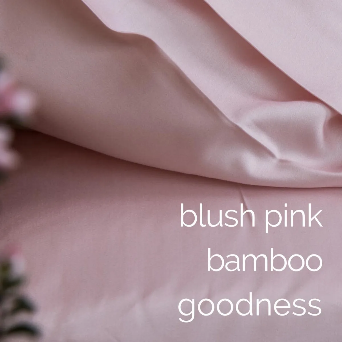 The Bamboo Shop - Household products | Australia