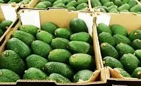 Duclos Farms - Foods & Beverages products | United States