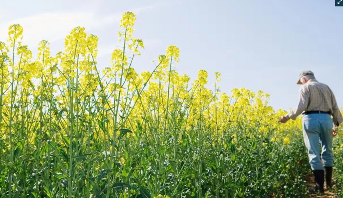 Bayer AG - Agriculture products | Germany