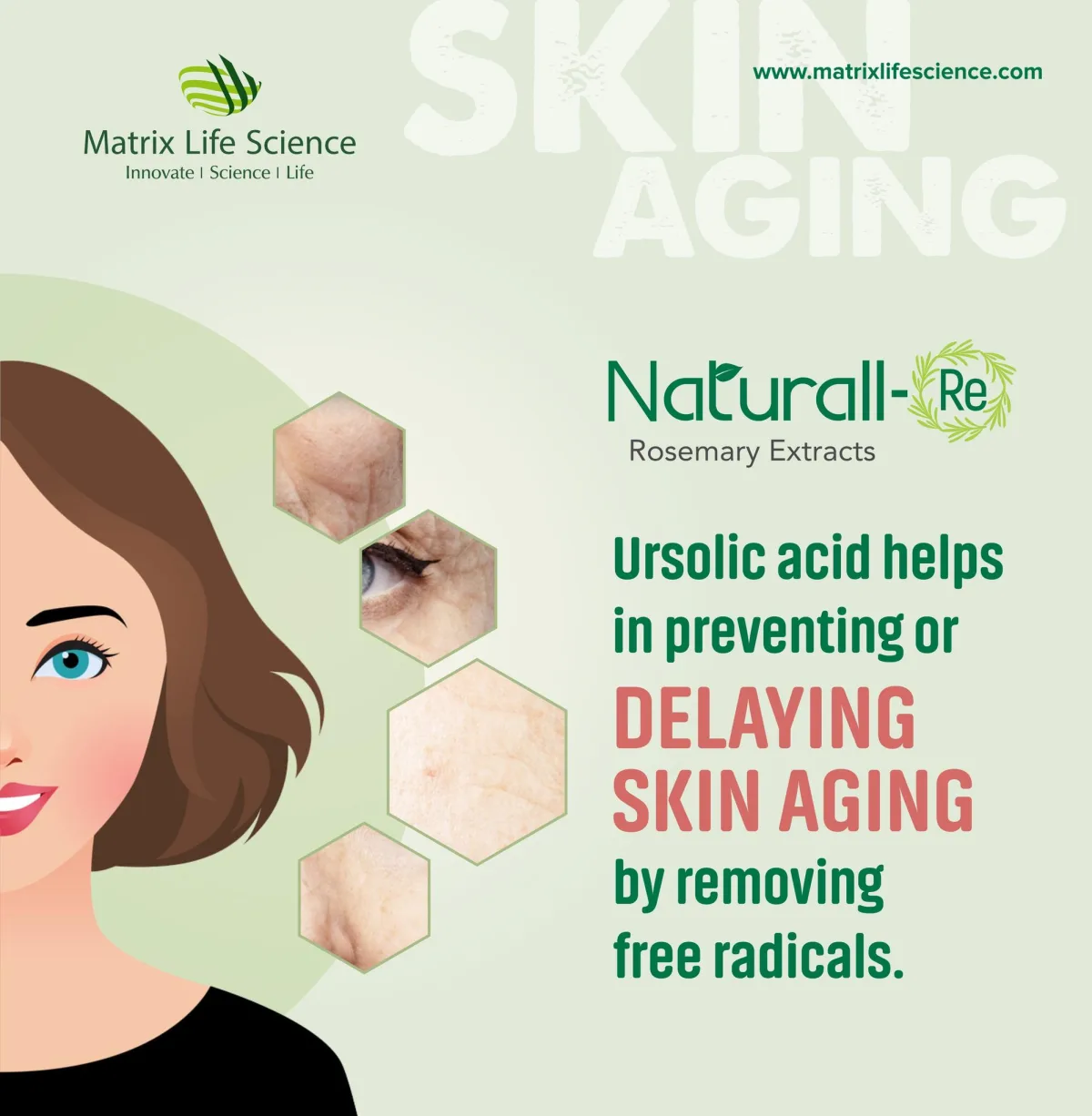 Matrix Life Science - Agriculture products | India