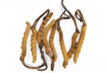 National Organics Pvt. Ltd - Foods & Beverages products | Nepal