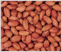Strong International Trading Inc. - Agriculture products | Canada