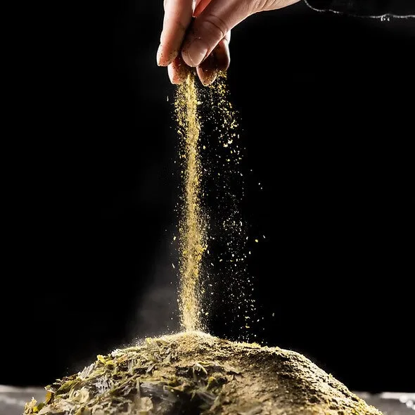 Nordic SeaFarm - Agriculture products | Sweden