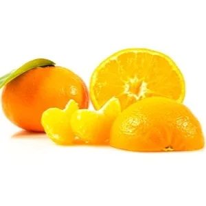 AlgarOrange - Agriculture products | Portugal