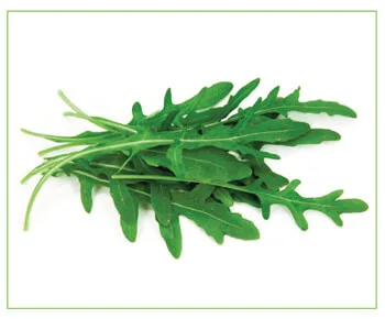 Emerald Greens - Agriculture products | Ireland