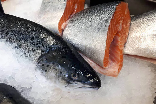 Fjord Salmon - Agriculture products | Norway