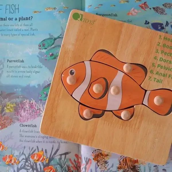 QToys - Crafts, Gifts & Toys products | Australia