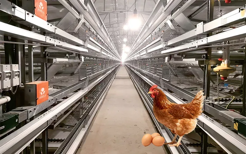 Little Giant Animal Husbandry Equipment Co., Ltd. - Agriculture products | China