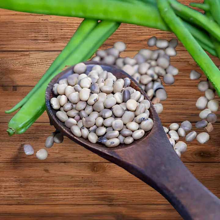 Prasanta Organic LLP - Agriculture products | India