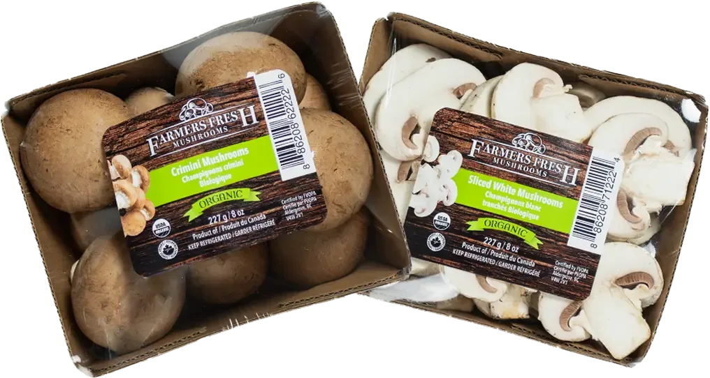 Farmers Fresh Mushrooms - Agriculture products | Canada
