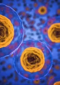 Lamberti S.p.A - Chemicals products | Italy