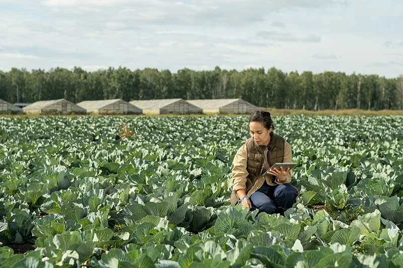 Midwestern BioAg - Agriculture products | United States