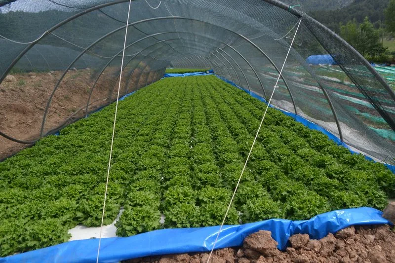 Bioplant Agriculture - Agriculture products | Türkiye