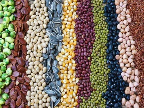 Krishak Bharati Cooperative Limited - Agriculture products | India